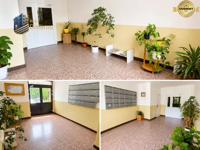Na prenájom byt v Šaľa · €440 · Čiastočná rekonštrukcia