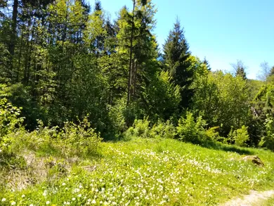 Na predaj pozemok, 828 m², Horná Lehota, krpáčovo