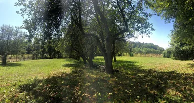 Na predaj dom, 278 m², Brezolupy