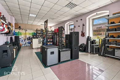 Na predaj komerčné, 564 m², Žiar nad Hronom, SNP