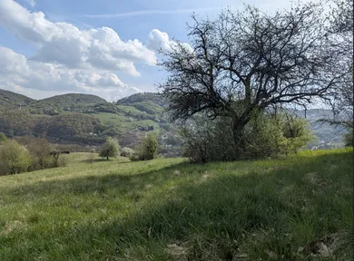 Na predaj pozemok, Horné Hámre