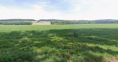 Na predaj pozemok, Buková