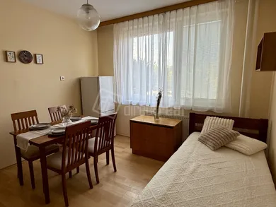 Na prenájom 1-izbový byt, 50 m², Šaľa, Novomeského
