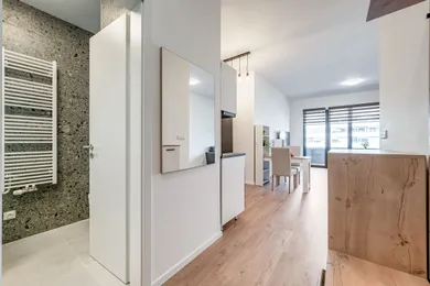 Na prenájom 1-izbový byt, 46 m², Košice-Staré Mesto, Žriedlová