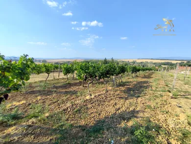 Na predaj pozemok, 250 m², Vráble