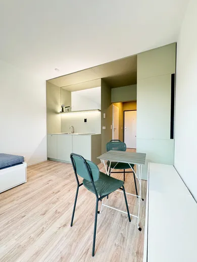 Kiadó lakások, 1-szobás, Bratislava-Petržalka · €525