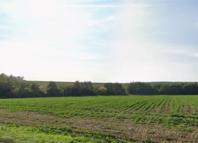 Na predaj pozemok, Veľké Vozokany