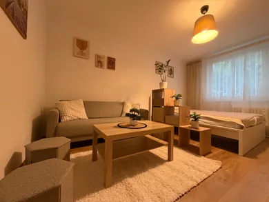 Na prenájom 1-izbový byt, 30 m², Trnava, Ulica Jána Hajdóczyho
