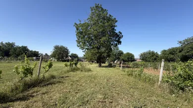 Na predaj rekreačný dom, 353 m², Čechynce, Vinohradská cesta