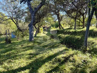 Na predaj rekreačný dom, 385 m², Ružomberok, Do Dielca