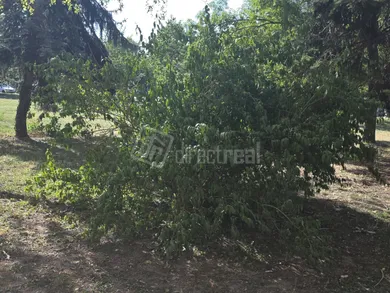 Na predaj 3-izbový byt, 64 m², Galanta, Clementisove sady
