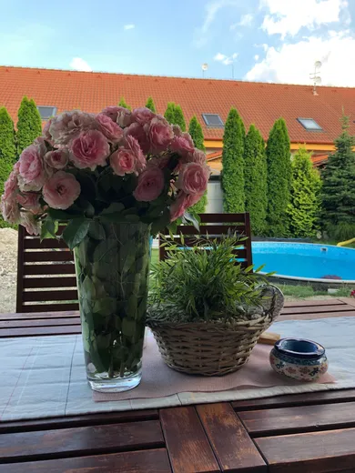 Na predaj dom, 175 m², Rovinka, Višňová