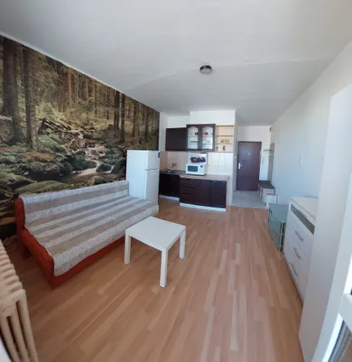 Byty na prenájom 1-izbový, Košice-Západ · €550