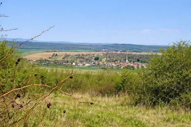 Działki na sprzedaż, Levice · €29 000