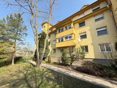 Na prenájom 2-izbový byt, 59 m², Dunajská Streda, Záhradnícka