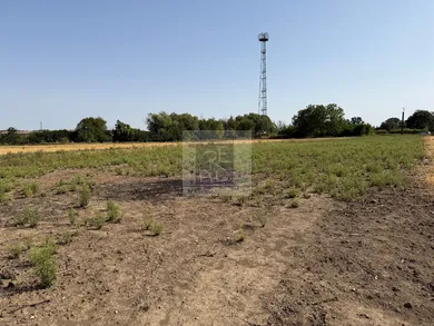 Na predaj pozemok, Lúčnica nad Žitavou, Martinová