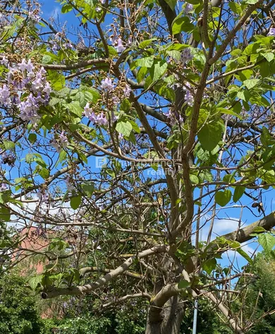 Na predaj byt v Trenčín · €107 500 · Dokončené