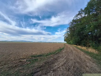 Na predaj pozemok, Šenkvice