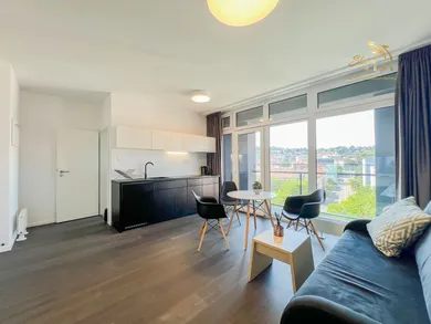 Na prenájom 2-izbový byt, 47 m², Bratislava-Staré Mesto, Žilinská