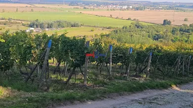 Działki na sprzedaż, Modra · €10 500