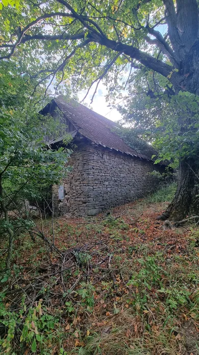 Na predaj dom, 50 m², Myjava, VRBOVCE