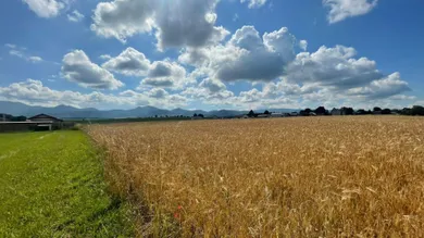 Na predaj pozemok, Bodorová