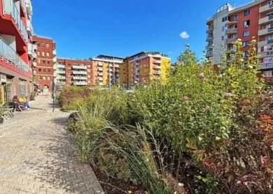 Byty na prenájom 1-izbový, Bratislava-Petržalka · €800