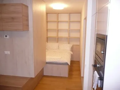 Na prenájom 1-izbový byt, 48 m², Bratislava-Staré Mesto