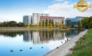 Na prenájom 1-izbový byt, 45 m², Bratislava-Nové Mesto, Tomášikova