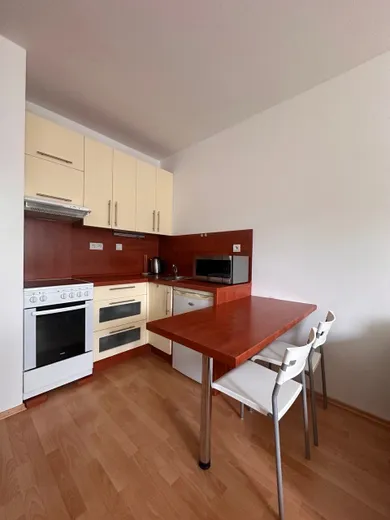 Na prenájom 1-izbový byt, 25 m², Žilina, Rosinská