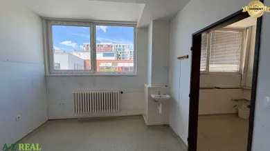 Na prenájom komerčné, 150 m², Bratislava-Ružinov, Mlynské nivy
