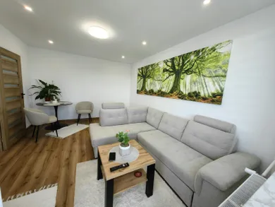 Na prenájom 2-izbový byt, 43 m², Košice-Juh, Jantárová