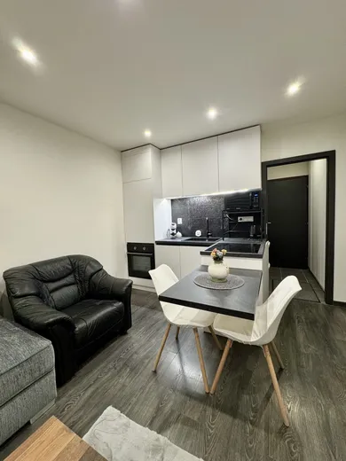 Na prenájom 1-izbový byt, 24 m², Košice-Dargovských hrdinov, Buzulucká