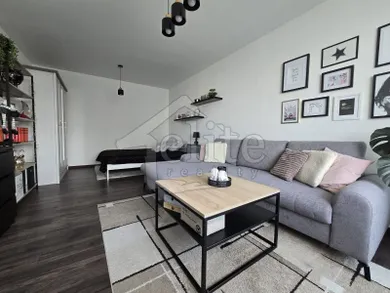 Na prenájom 1-izbový byt, 45 m², Považská Bystrica, Lánska