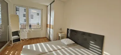 Na prenájom byt v Bratislava-Petržalka · €720 · Novostavba