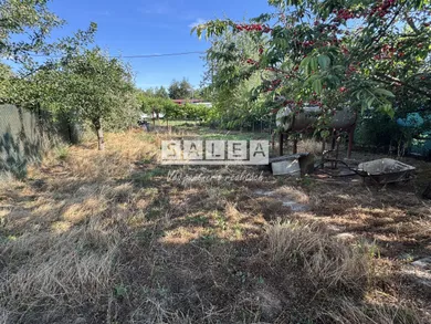 Na predaj pozemok, 260 m², Kráľová nad Váhom, Záhradkárska oblasť