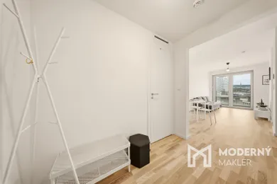 Na prenájom 1-izbový byt, 40 m², Bratislava-Staré Mesto, Bottova ulica
