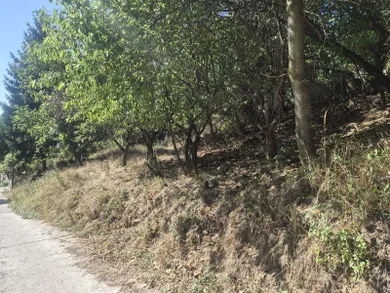 Na predaj pozemok, 665 m², Stupava, Karpatská