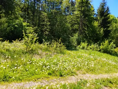 Na predaj pozemok, 828 m², Horná Lehota, krpáčovo