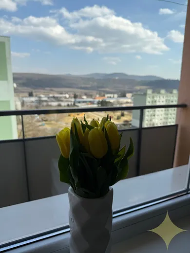 Na prenájom 1-izbový byt, 35 m², Žiar nad Hronom, Tajovského