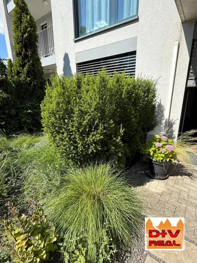 Na prenájom 2-izbový byt, 83 m², Bratislava-Staré Mesto, Havlíčkova