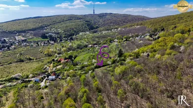 Na predaj pozemok, Bratislava-Nové Mesto