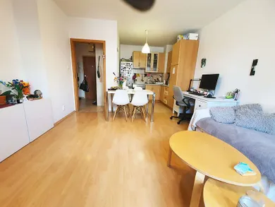 Apartments for sale, 1-room in Bratislava-Podunajské Biskupice · €179,900