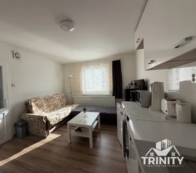 Na prenájom 1-izbový byt, 24 m², Jasová