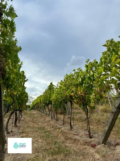 Na predaj pozemok, 33 m², Zlaté Moravce, Tehelná
