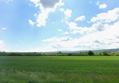 Na predaj pozemok, Modra