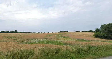 See details