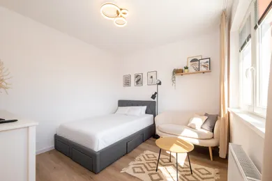 Na prenájom 1-izbový byt, 28 m², Košice-Západ, Ľudová 5