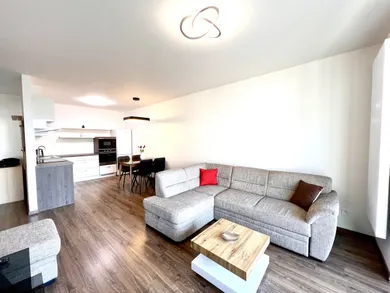 Na prenájom 2-izbový byt, 52 m², Košice-Staré Mesto, Alvinczyho
