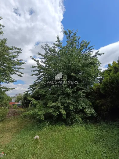 Na predaj dom, 44 m², Nitra